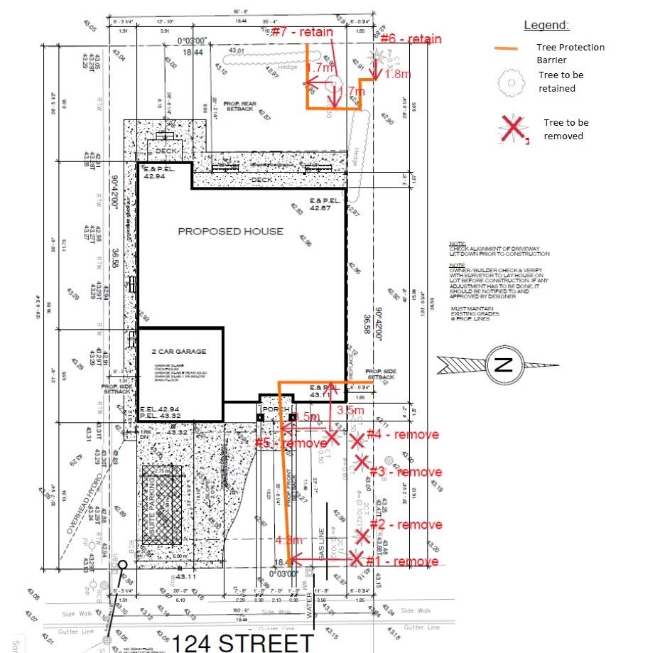 Arborist Reports and Consulting 
